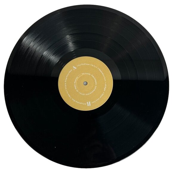 Boy Scouts Free Company Vinyl LP 2019 Record Album Anti Records 87712-1 - Picture 6 of 8